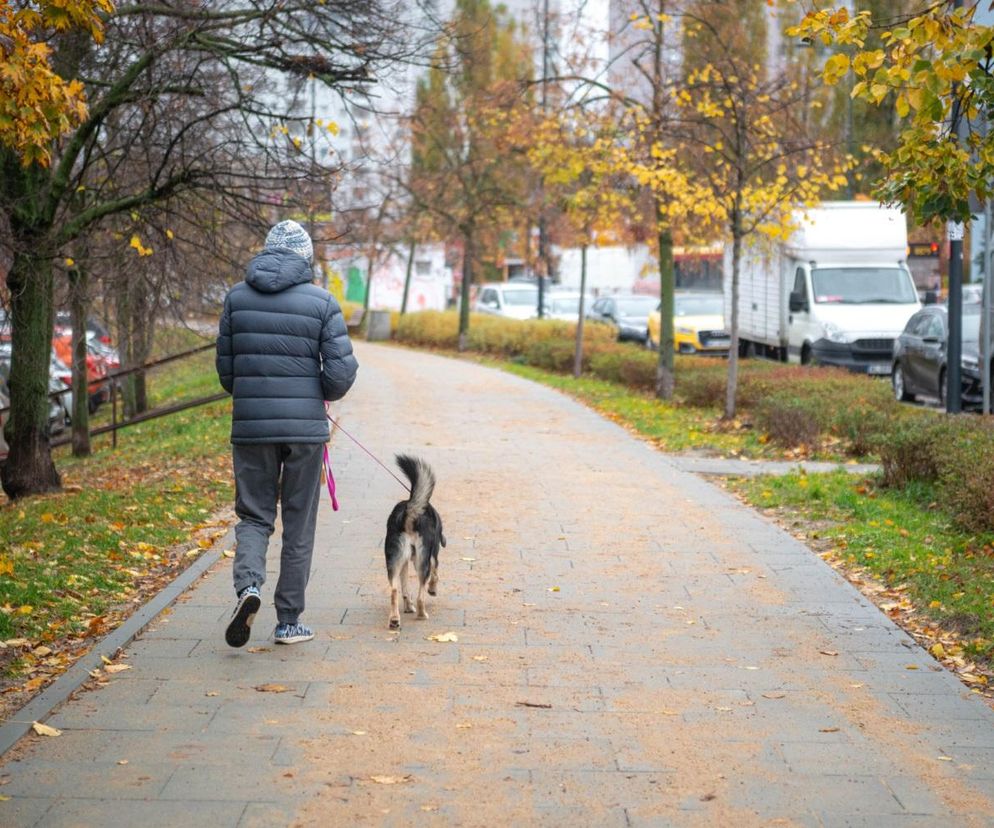 Wyremontowany chodnik na ulicy Umińskiego