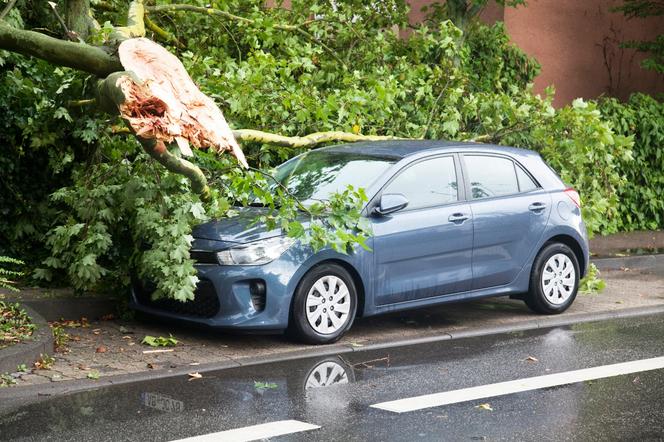 Smart Casco – sprytne rozwiązanie dla oszczędnych