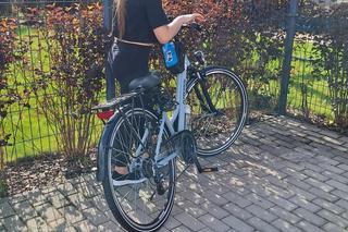 Palma świetnie się rozwoja rosnąc w ogrodzie