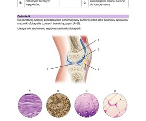Matura 2025: biologia 9.05.2025. Arkusze CKE i odpowiedzi [Formuła 2023]