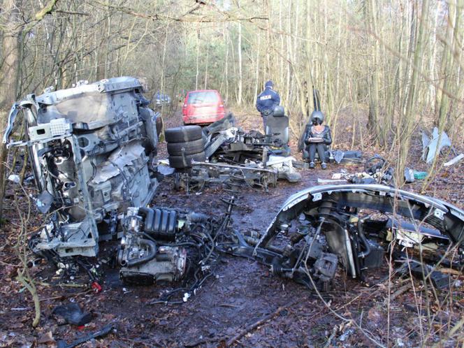 DZIUPLA W WOŁOMINIE