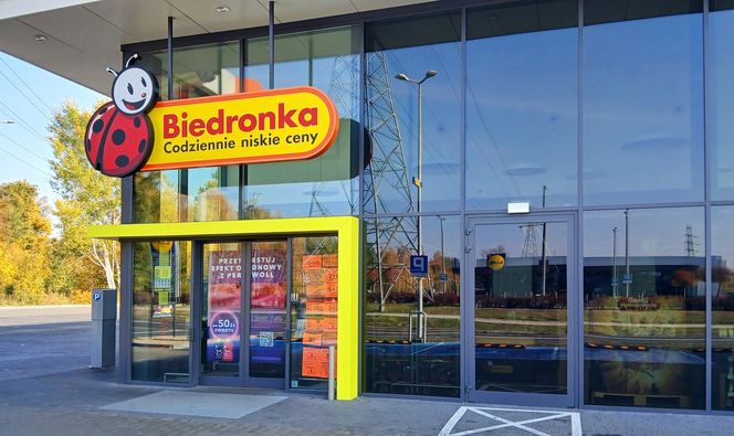 Biedronka na fali