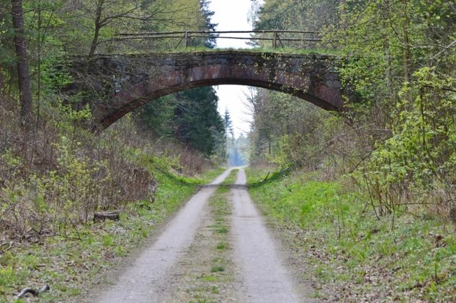 Atrakcje Węgorzewa. Co warto zobaczyć?