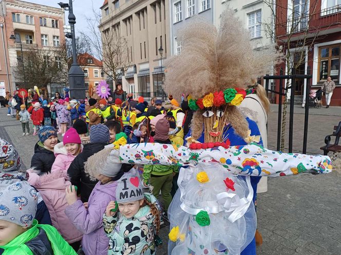 Przemarsz przedszkolaków z marzannami ulicami Grudziądza