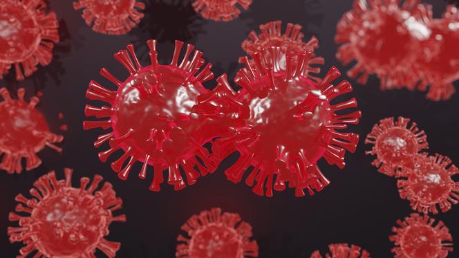 Nowe warianty koronawirusa łączy „pewna wspólna cecha”. Naukowcy wyjaśniają