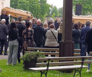 Rąbnęli w łosia, osierocili synka