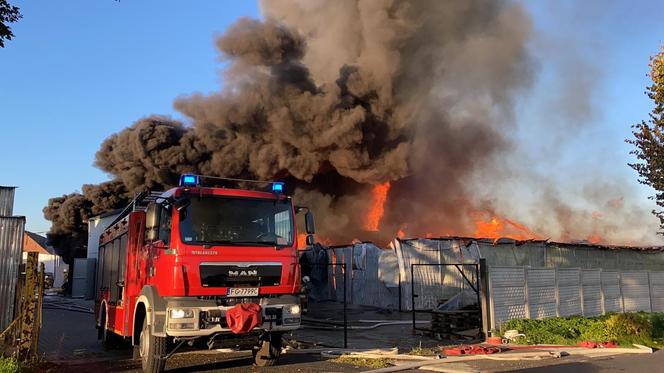 Pożar w fabryce mebli we wsi Łąkie pod Świebodzinem