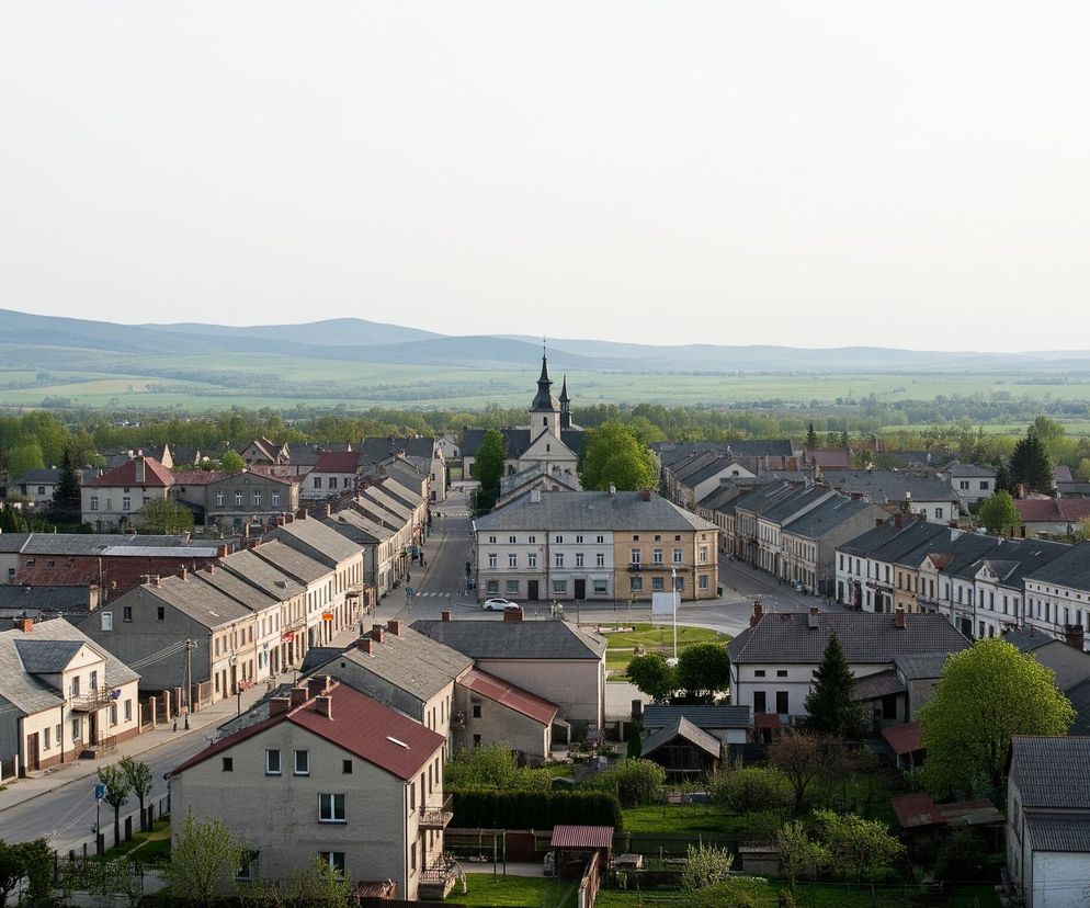 Panoramiczny widok przedstawia miasteczko z perspektywy lotu ptaka, dominującym elementem jest podłużny, biały budynek z dwoma ostrymi wieżami z czarnymi dachami, usytuowany centralnie w głębi kadru. Od tego budynku rozchodzą się ulice, wzdłuż których stoją szeregi kamienic o różnokolorowych elewacjach i dachach, przeważnie szarych lub czerwonawych. Na pierwszym planie widoczne są dachy i posesje domów jednorodzinnych, gdzieniegdzie porośnięte drzewami o jasnych, wiosennych liściach. W oddali, za zabudowaniami, rozciągają się zielone pola uprawne i faliste wzgórza, stopniowo zacierające się w błękitnawej mgle pod jasnym, bezchmurnym niebem.