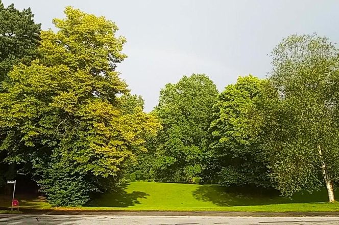 Ohlsdorfer Friedhof w Hamburgu
