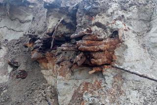 Sopot. Arsenał z czasów II wojny światowej znaleziony na terenie budowy