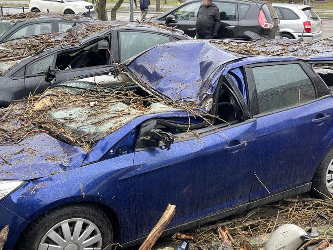 Wichura w Warszawie. Duże straty w mieście