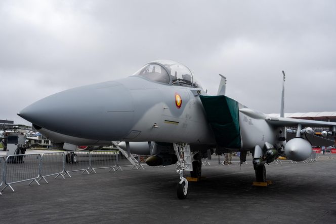 Kosiniak - Kamysz o F-15EX