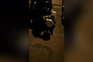 Krwawa zemsta za kota? Kilka lat czekał na taką okazję. Zaatakował swojego znajomego młotkiem. „Bił i kopał go po całym ciele”