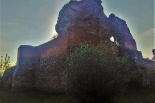 Zamek w Bobrownikach