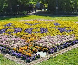 Ogód Botaniczny UAM