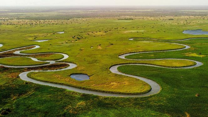 Delta Okawango, Botswana