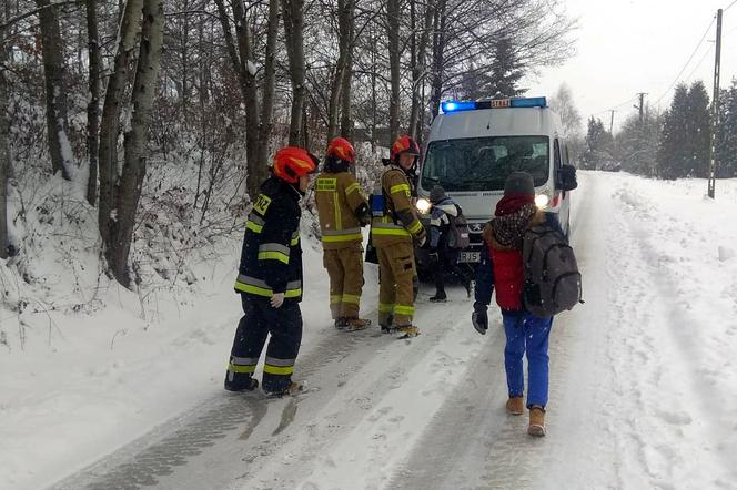 Bierówka. Autobus z 39 dziećmi wjechał do rowu [GALERIA]