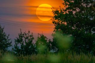 Księżyc Żniwiarzy. Niezwykła pełnia w w obiektywie mieszkańców Dolnego Śląska