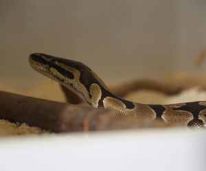 ZooPark ponownie przyciągnął do Targów Lublin tłumy miłośników zwierząt