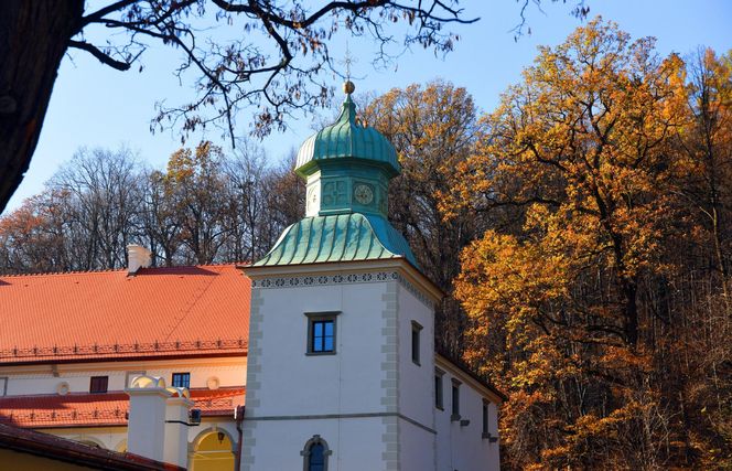 To małopolskie miasto gwiazd. Wychowało wiele wybitnych postaci 