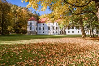 To małopolskie miasto gwiazd. Wychowało wiele wybitnych postaci 