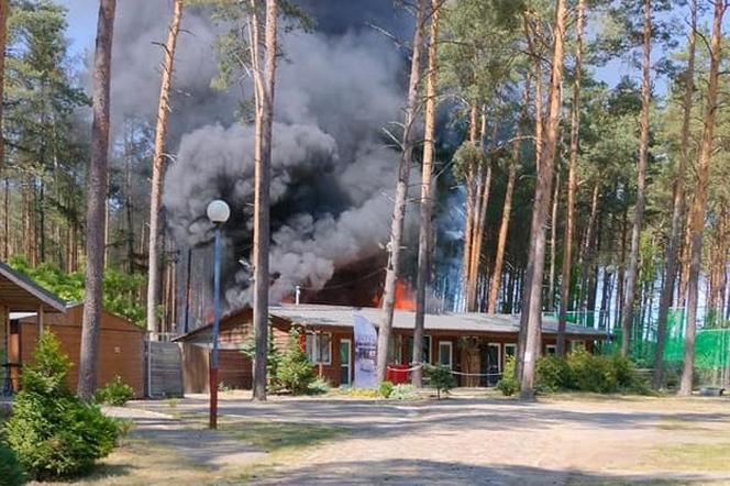 Pożar w popularnym ośrodku wypoczynkowym Leśna Chata w Jastrowiu. Kilkanaście zastępów straży w akcji