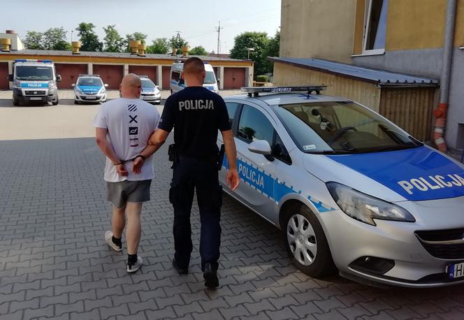 Krośniewice. Zdradziły go NERWY. Policja wypuściła PSA, a ten znalazł w skrytkach NARKOTYKI