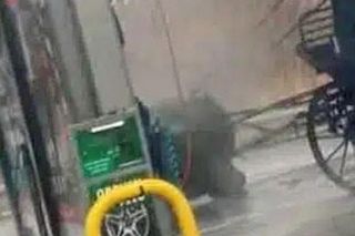 Szok w Makowie Mazowieckim! Umyli konia myjką ciśnieniową