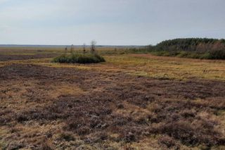 Wieża w Gugnach w Podlaskiem