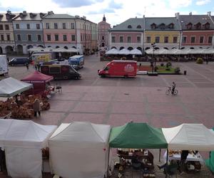 Grzybobranie lubelskie - naturalnie! Zamość 2023