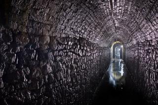 Sztolnia Królowa Luiza