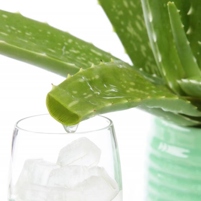 cucumber aloe Urban Hydration Moisturize & Grow Aloe Vera & Cucumber Clarifying Micellar Shampoo main image 0
