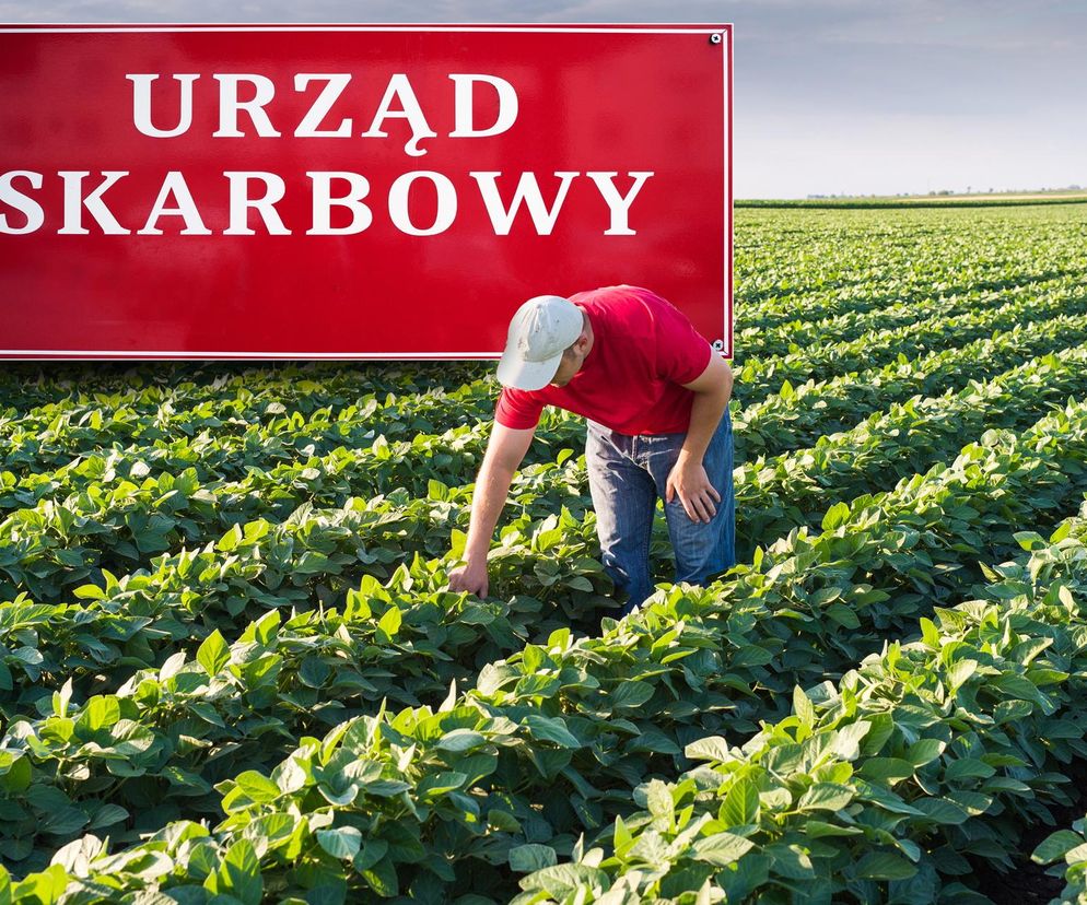 urząd skarbowy