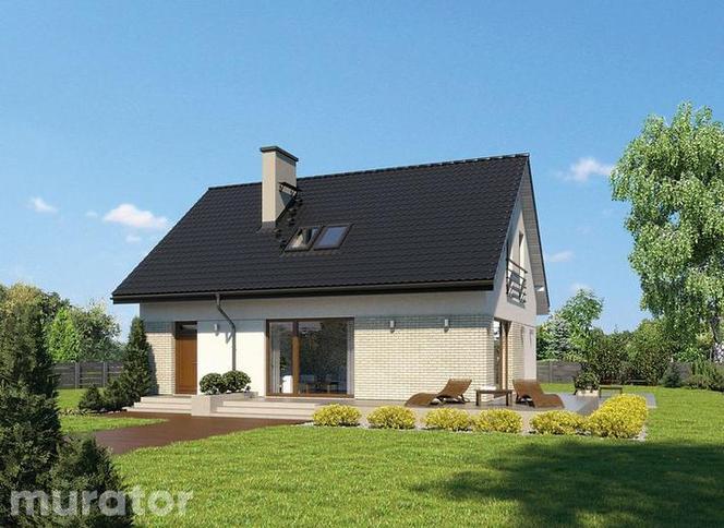 Projekt Poranny spacer