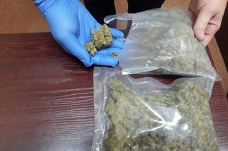 19-latek z Rypina zatrzymany podczas spacerów. Miał sporo narkotyków