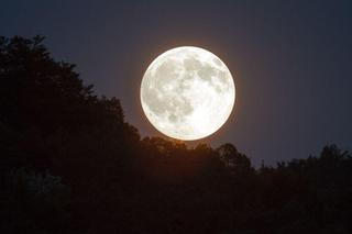 Pełnia Księżyca w listopadzie 2023. Kiedy na niebie pojawi się Mroźny Księżyc?