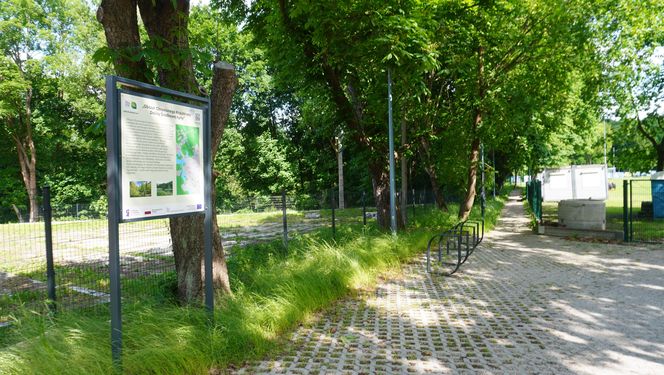 To najbrzydsza ulica według AI. „Stanowi kontrast do nowoczesnej infrastruktury miasta”