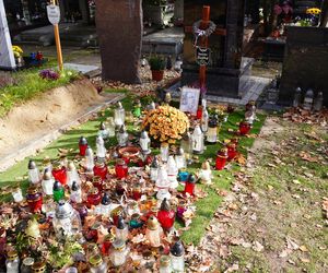 Grób Stanisława Sojki