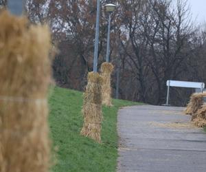 12-latek roztrzaskał się o ławkę. Urzędnicy reagują po tragicznej śmierci chłopca