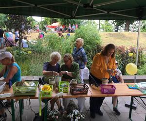 Piknik na Górze Zamkowej w ramach Jarmarku Spichrzowego