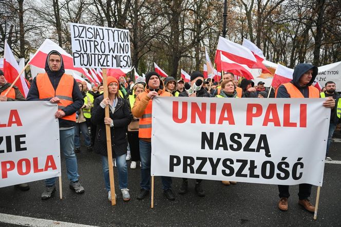 Protest plantatorów tytoniu w Warszawie (3.11.2025)