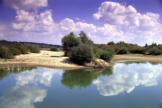 Janowiec, wiślany brzeg koło Kazimierza Dolnego