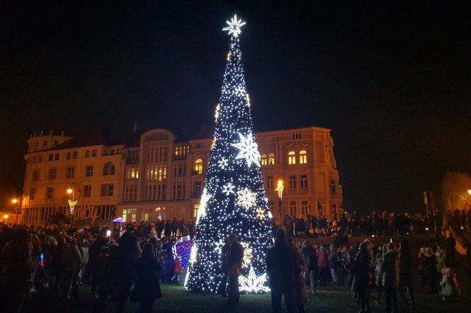 Magia świąt ogarnęła Bydgoszcz! Choinka na Placu Teatralnym zachwyca swoim pięknem!