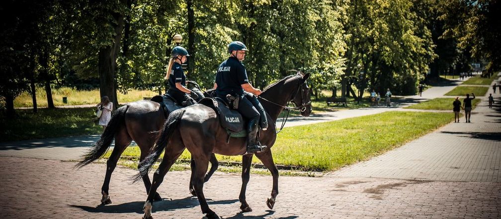Policyjne wierzchowce od lat wspierają śląską policję