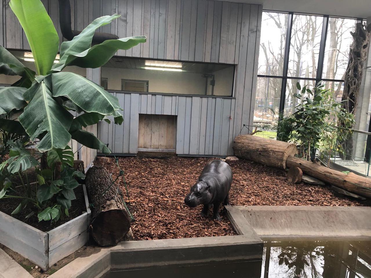 W łódzkim ZOO zorganizowano randkę w ciemno!