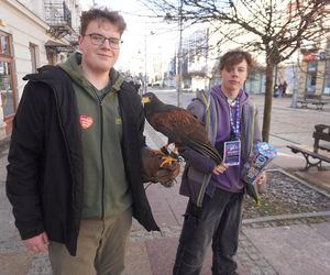 WOŚP 2025. Wolontariusze kwestują w całym kraju