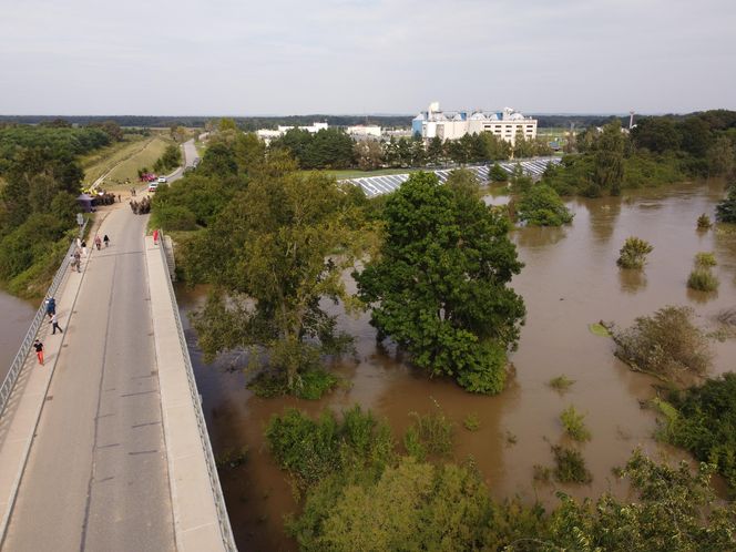 Wrocław Janówek - rozlana Bystrzyca i oczyszczalnia ścieków