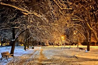 Park Miejski jesienią