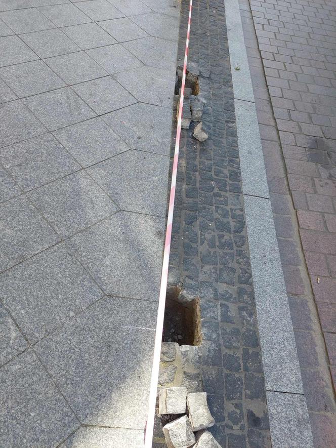 Bydgoszczanie marzą o roślinach wzdłuż ulicy, a drogowcy chcieli tam słupków. Jest reakcja na protest