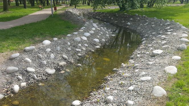 Prace w Parku Grabek w Czeladzi